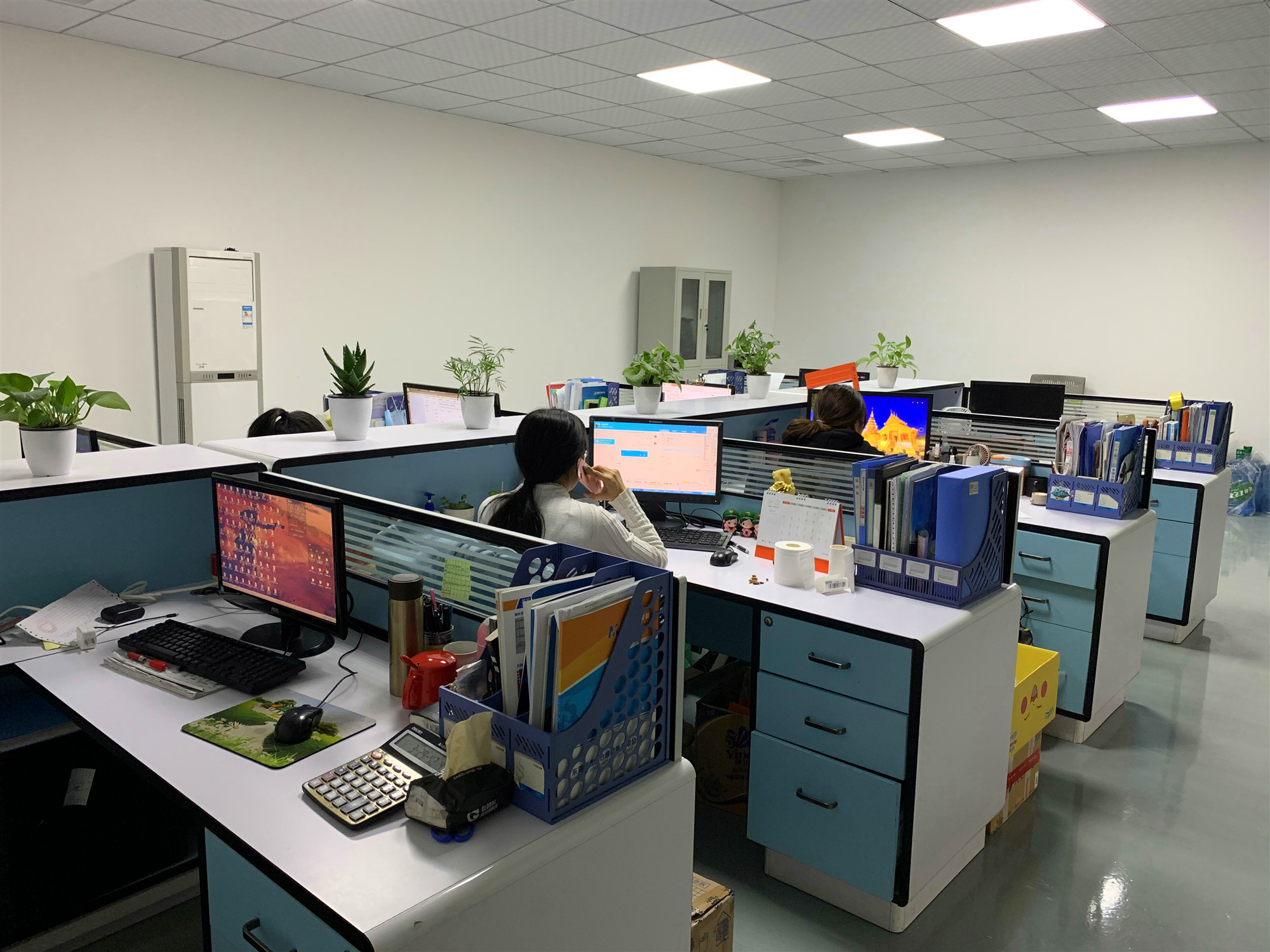 Company Showcase
