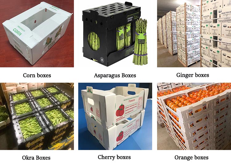 Storage in Warehouse or Supermarket Stackable Warehouse Storage Bin Corflute Plastic Clothing Parts Shelf Picking Bins