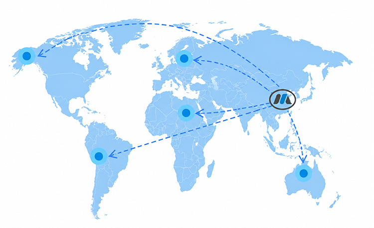 Global Storage and Organization Leader