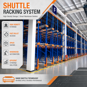 Factory Supply Radio Shuttle Pallet Racking System