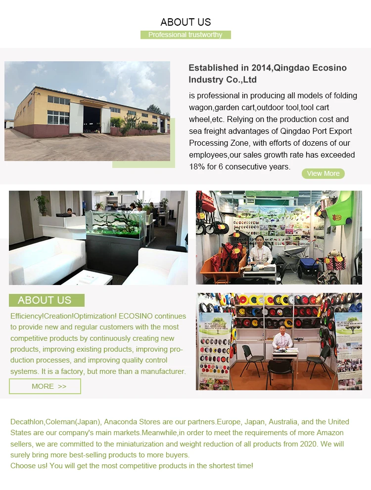 Company Profile Overview