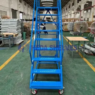 Warehouse Ladder Cart