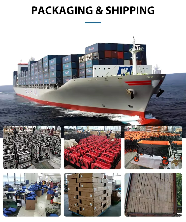 Container Shipping