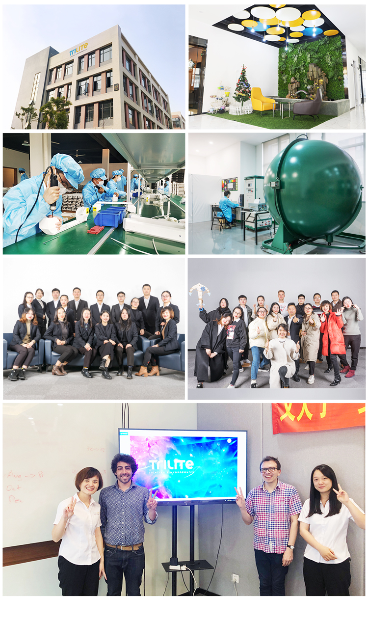 Company Showcase