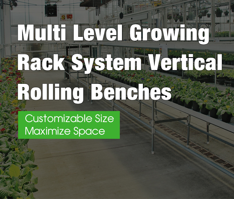 Hydroponics System Display