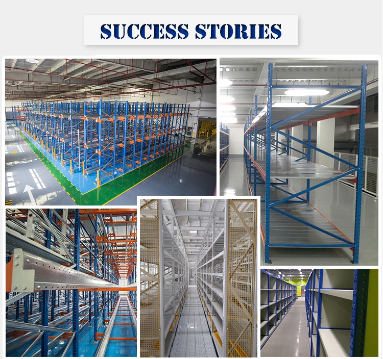 International Client Visits and Cooperation