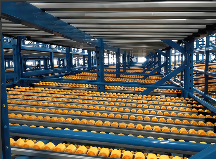 Storage Systems