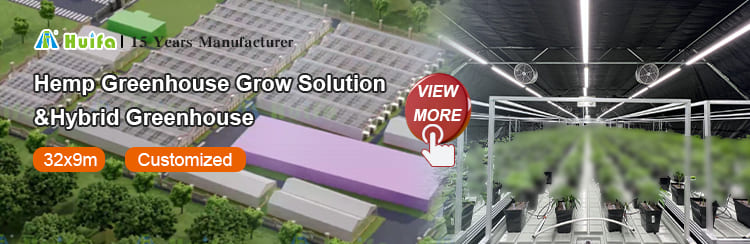Commercial Vertical Growing Project 2