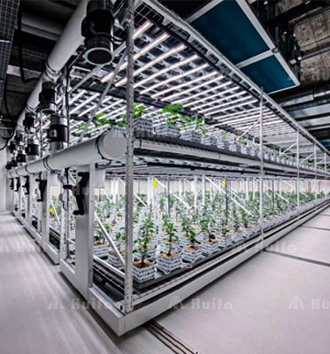 Customized Growing Rack Layout