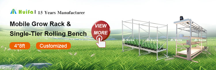 Commercial Vertical Growing Project 1