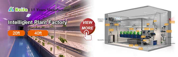 Commercial Vertical Growing Project 4